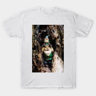 Woodland Gnomes 3 T-Shirt